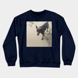 happy doggo Crewneck Sweatshirt